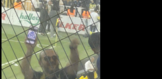 Oto co kibic Fenerbahce POKAZYWAŁ fanom Górnika Zabrze xD